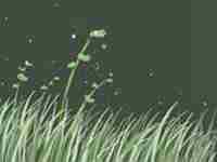 罕见的大福气手相图文解析视频(罕见的大福气手相图文解析)