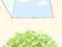 女人长泪痣好吗图解(女人长泪痣好吗)