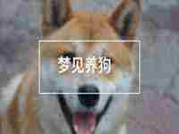 梦见羊生小羊是什么预兆(梦见羊生小羊)