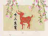 属牛的和属羊的婚姻怎么样化解(属牛的和属羊的婚姻怎么样)