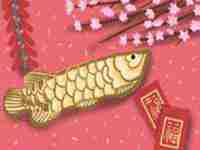 家中植物风水知识讲解(家中植物风水知识)