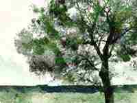 戊土男和己土女结合好吗(戊土男和己土女)