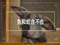 做梦梦见自己大口吐血是什么意思周公解梦(做梦梦见自己大口吐血是什么意思)