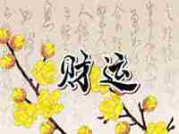 家居西部摆放什么旺财植物最好(家居西部摆放什么旺财植物)