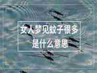 女人梦见蚊帐是什么意思解梦(女人梦见蚊帐是什么意思)