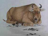 97年属牛女适合找大几岁男友结婚(97年属牛女适合找大几岁男友)