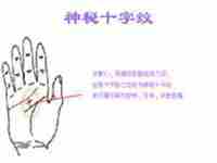 拥有神秘十字纹的人智商高吗女生(拥有神秘十字纹的人智商高吗)