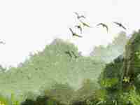 三两六钱男命忠告(八字三两六钱男命)