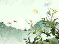 甲木命的贵人是谁(甲木命是好命吗)