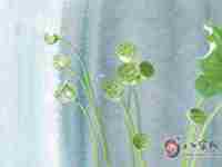 房子有虎口煞要怎么才能化解掉(房子有虎口煞要怎么才能化解)