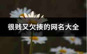 最新版很贱又欠揍的搞笑网名