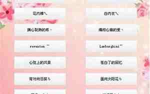 可望不可即的网名