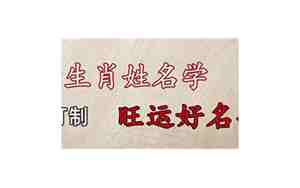 史家骐姓名学展示页