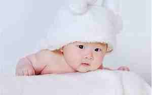 2021牛宝宝名字库