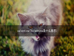 valentina(Valentina是什么意思)