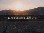 属金的行业有哪些(五行属金最忌什么行业)