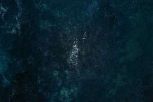 果业起名(好听的果业名字)