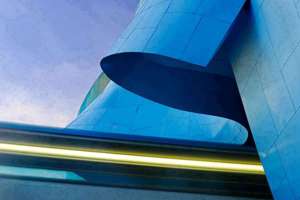 梦见自己在抓猫(梦见抓猫是什么预兆)