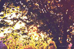 梦见付钱给别人(梦见给别人付钱是什么意思)