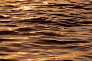 一年级什shen怎么组词(汉字什的组词有哪些)