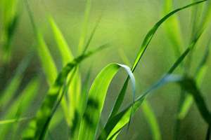 梦见老公抛弃自己(梦见老公抛弃自己有什么预兆)