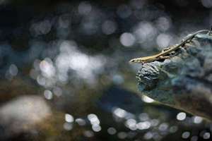 扫射楼道里女鞋(扫射楼道内的女鞋经验)