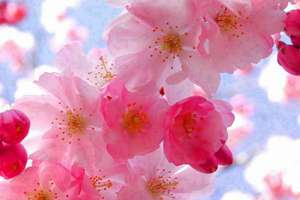 女人梦见怀抱婴儿喂奶(梦到抱着婴儿征兆是什么)