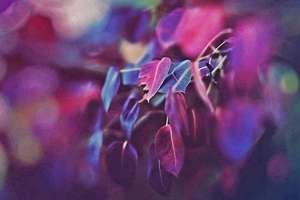 梦见回到小学(周公解梦梦到回到小学学校是什么意思)