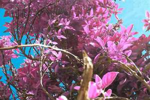 梦见长辈给我钱(梦见长辈给钱自己是什么意思)