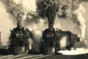 梦见小猪到处跑(梦见猪到处跑有什么兆头预兆征兆寓意)