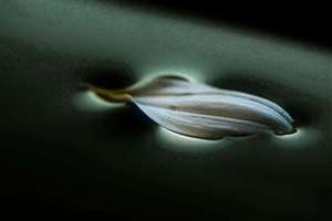 梦见很多熟人在一起(梦见很多熟人聚在一起寓意是什么)