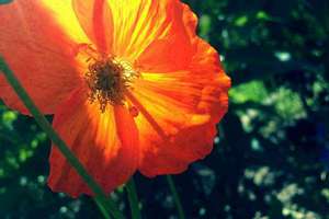 姓王的男孩名字最好听(姓王的叫什么名字好听男生)