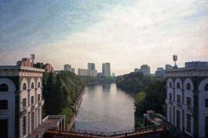 假山起名(假山如何真趣)