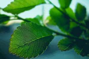 梦见自己在破案(梦见自己在破案是什么意思)