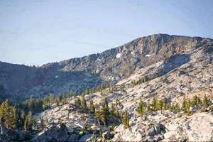 坚果店起名(干果店名字大全起名)