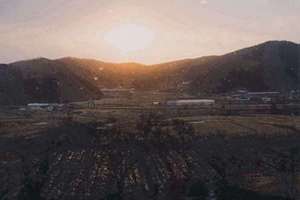 兴趣班起名(594个深意名字)