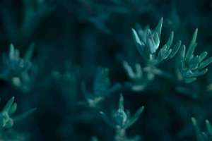 古代起名(好听的古代名字)