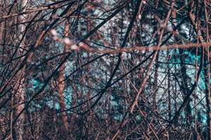 梦见住在海边(梦见居住在海边有什么预兆)