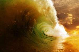 梦见杀狐(梦见杀狐狸有什么预兆)