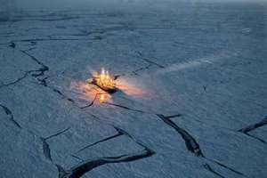 梦见鱼生男孩还是女孩(梦见鱼是生男生女意味着什么)