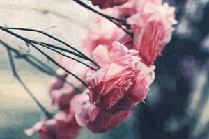 梦见自己被吓哭(梦见自己吓哭了有什么预兆)