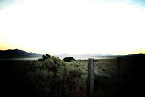 梦见灌篮(梦见灌籃有什么预兆)