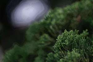 中国最难的字(中国汉字最难写的字是什么字)