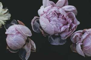 梦见小孩不见了(梦见自己小孩不见了是什么意思)