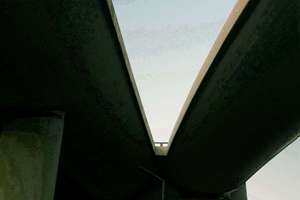 familyname(name是什么意思及音标)