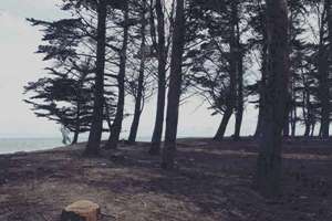 姓吴怎么起名(姓吴取什么名字好)