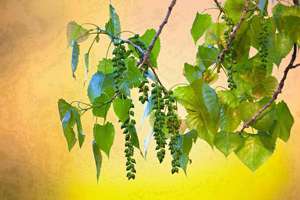 新车封红包的讲究(红包有什么讲究)