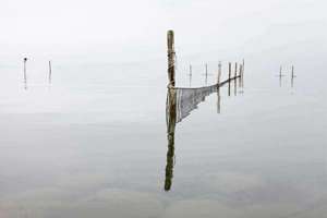 起名元旦(元旦宝宝小名寓意好的)