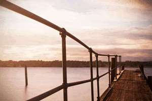 梦见把蟒蛇杀死了(梦见把蟒蛇杀死有什么预兆)