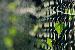 梦见男朋友变成鬼(梦见男朋友变成了鬼有什么预兆)